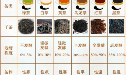 肌肉会消耗脂肪吗为什么-肌肉会消耗脂肪吗网肌肉会减少吗知识网站,分享肌肉被消耗掉可以长回来吗大全